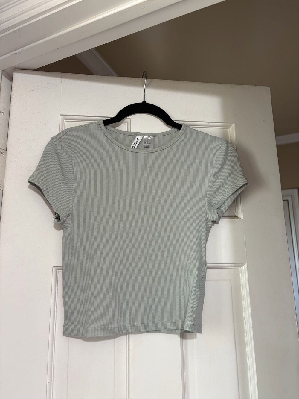 Divided Short Sleeve Ribbed Tee - Sage